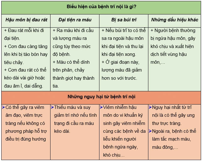 biểu hiện bệnh trĩ nội