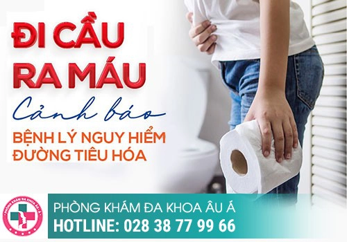 Táo bón ra máu là gì?