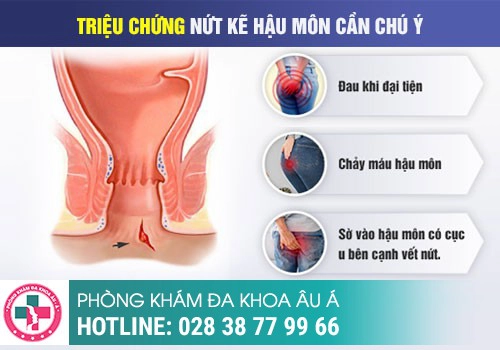 Triệu chứng đi cầu bị đau rát hậu môn là bệnh gì?