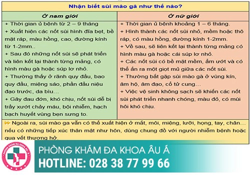 bệnh lây qua đường quan hệ tình dục