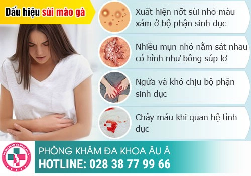 Biểu hiện bao quy đầu bị sùi mào gà dễ nhận biết nhất