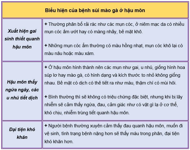 bệnh sùi mào gà ở hậu môn