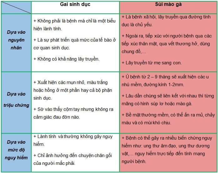 Gai sinh dục và cách hỗ trợ điều trị bệnh gai sinh dục hiệu quả