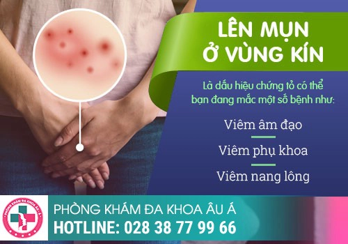 thuốc chữa trị mụn vùng kín