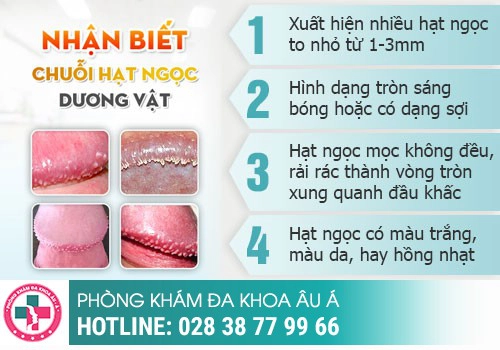 thuốc chữa trị hạt ngọc dương vật