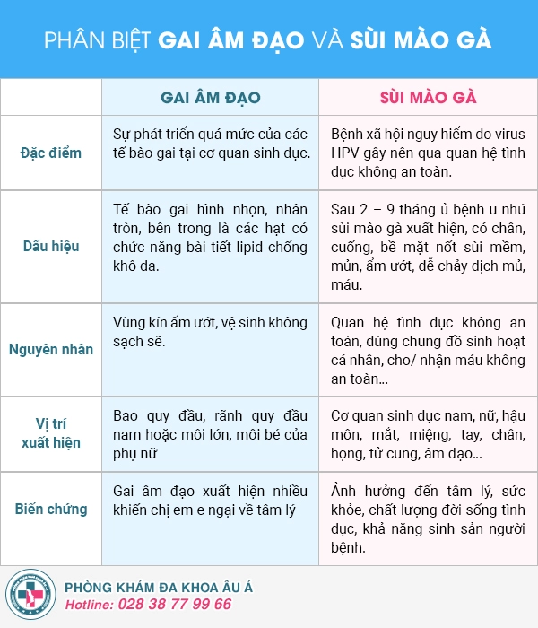 Gai âm đạo là gì? Phân biệt gai âm đạo và sùi mào gà