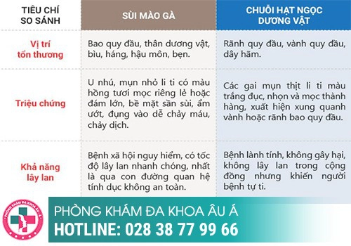 Phân biệt sùi mào gà ở bao quy đầu với chuỗi hạt ngọc dương vật