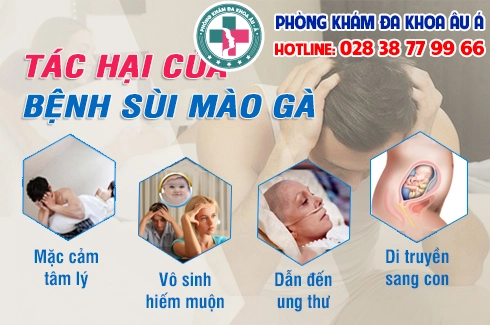 thong tin benh sui mao ga
