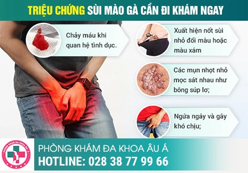Triệu chứng bệnh sùi mào gà