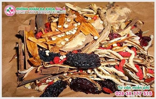 Bên cạnh điều trị bằng tây y thì có thể chữa bệnh bằng đông y, các loại thảo dược thiên nhiên này có tác dụng giảm ngứa bệnh chàm.