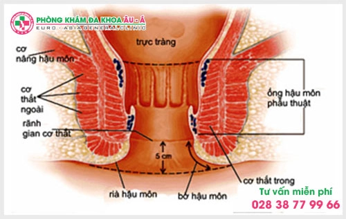 Các triệu chứng của bệnh rò hậu môn sẽ được hỗ trợ điều trị kịp thời, hiệu quả nếu người bệnh nhận biết cũng như tiến hành thăm khám sớm  có thể tại những địa chỉ uy tín, chất lượng.