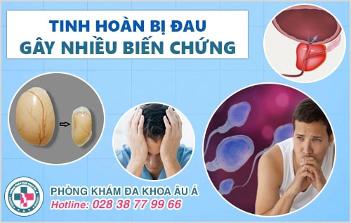 Đau Tinh Hoàn Là Dấu Hiệu Của Bệnh Gì? Có Nguy Hiểm Không?