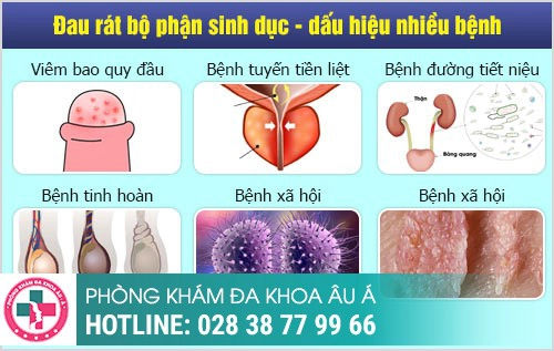 bộ phận sinh dục đau rát