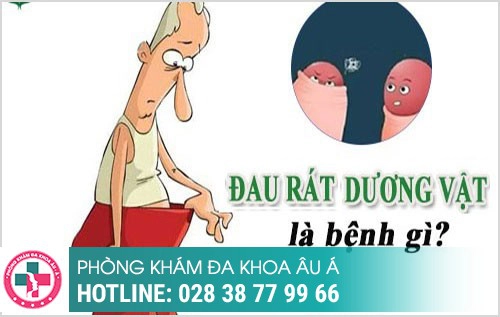 đau dương vật