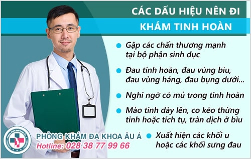 Khám tinh hoàn khi nào? Khám tinh hoàn ở đâu tốt?