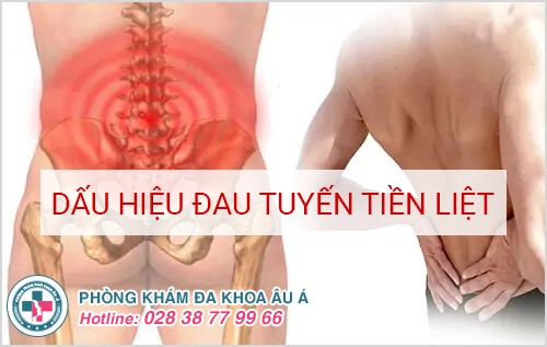 Đừng chủ quan khi bị đau tuyến tiền liệt