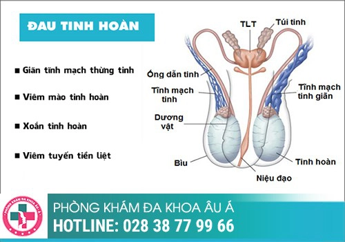 Tác hại của bệnh đau tinh hoàn