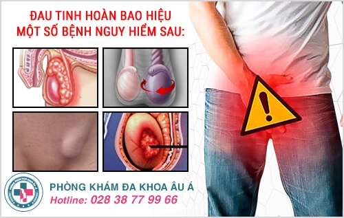 Đau tinh hoàn là bệnh gì?