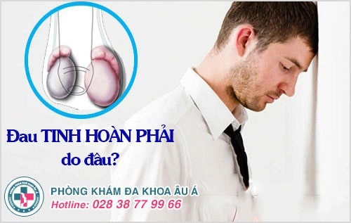 đau tinh hoàn phải