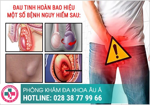 Nguyên nhân gây ra tình trạng đau thốn tinh hoàn