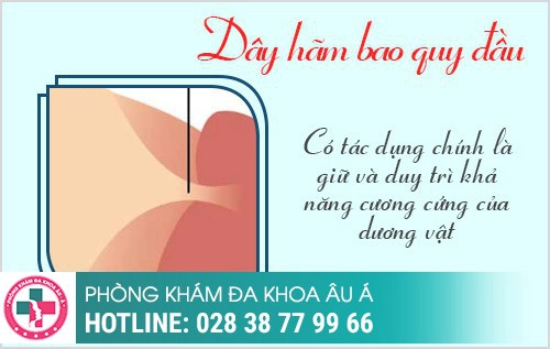 Đứt dây hãm bao quy đầu có sao không?