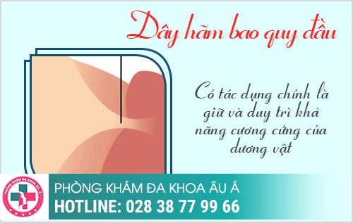 Dây hãm bao quy đầu bị đau và cách xử lý