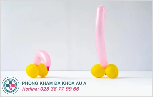 dương vật mềm