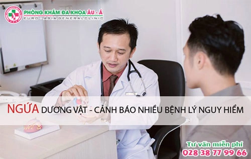 ngua cau nho
