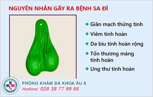 bệnh sa đì