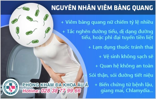 Nguyên nhân và dấu hiệu viêm bàng quang nam, nữ