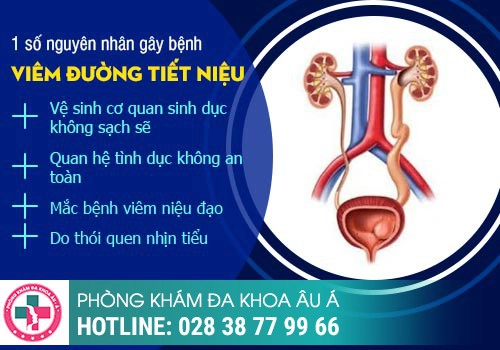 Nam giới buồn tiểu liên tục, tiểu buốt là bị gì?