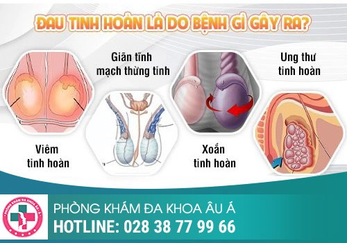 Nguyên nhân gây ra tình trạng đau thốn tinh hoàn