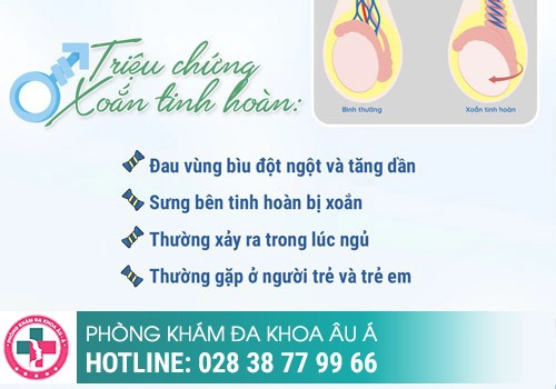 Nguyên nhân đau tinh hoàn khi cương là gì?