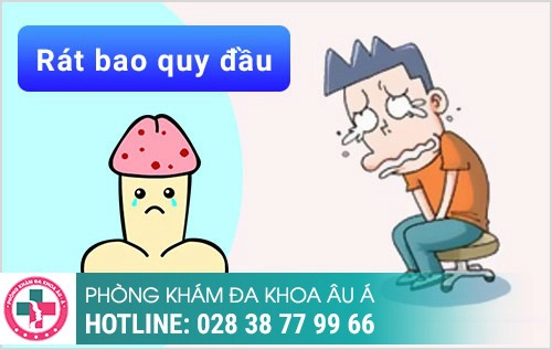 Quy đầu đau rát, ngứa, tấy đỏ là bệnh gì?