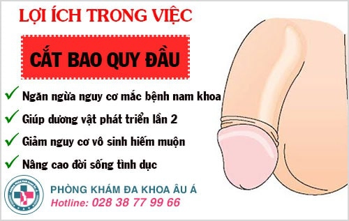 tại sao phải cắt bao quy đầu