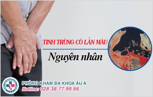 tinh trùng có lẫn máu