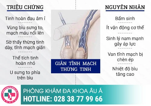 Nguyên nhân đau tinh hoàn khi cương là gì?