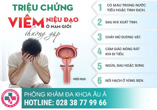 Dương vật cương cứng bị đau là gì?