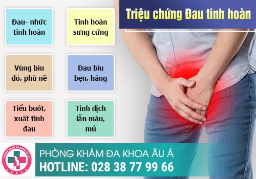 Các bệnh lý viêm nhiễm sinh dục nam