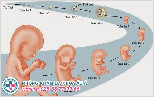 [Giải Đáp] Phá thai có tội không?