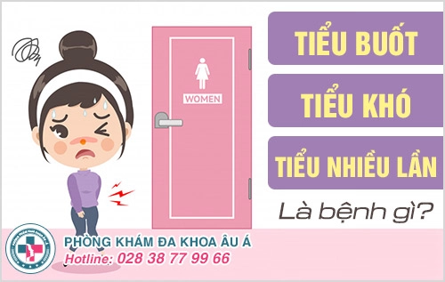 cách trị đi tiểu buốt, tiểu khó, tiểu nhiều lần