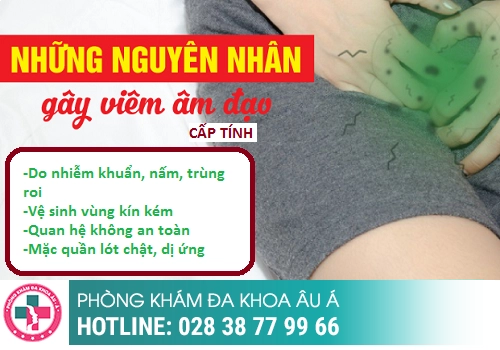 Nguyên nhân viêm vùng kín là gì?