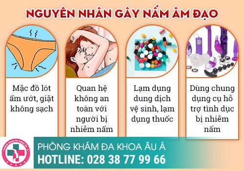 BỆNH NẤM ÂM ĐẠO LÀ GÌ?