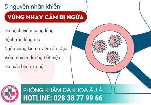 ĐIỀU TRỊ BỆNH NGỨA ÂM ĐẠO CẦN BÁM SÁT VÀO NGUYÊN NHÂN