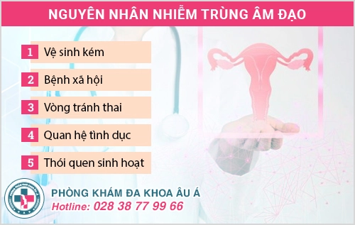 Vì sao vệ sinh cẩn thận mà vẫn bị nhiễm trùng âm đạo?