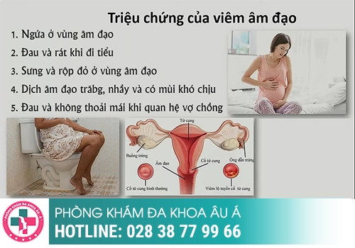 Dấu hiệu và triệu chứng viêm vùng kín