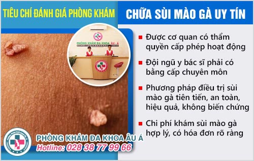 địa chỉ chữa sùi mào gà địa chỉ chữa sùi mào gà